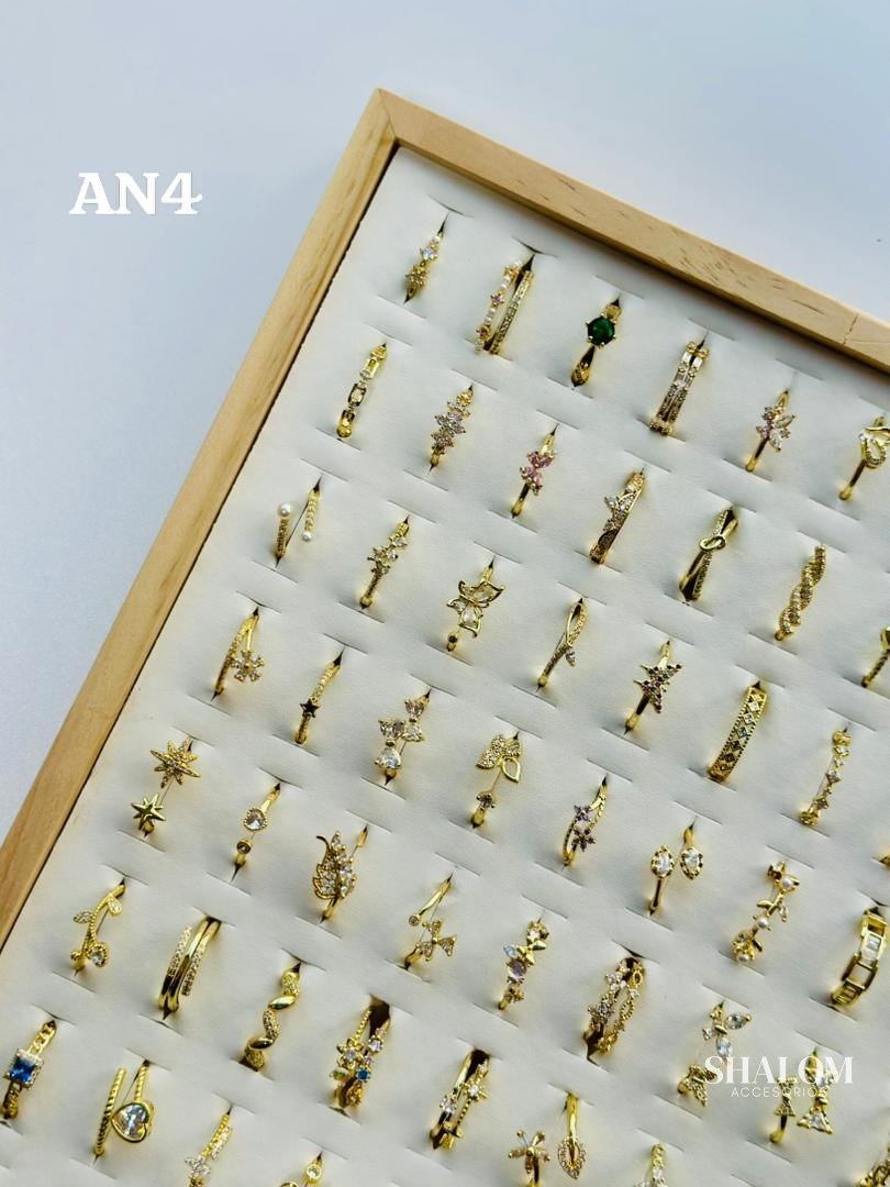 Anillos (AN4)