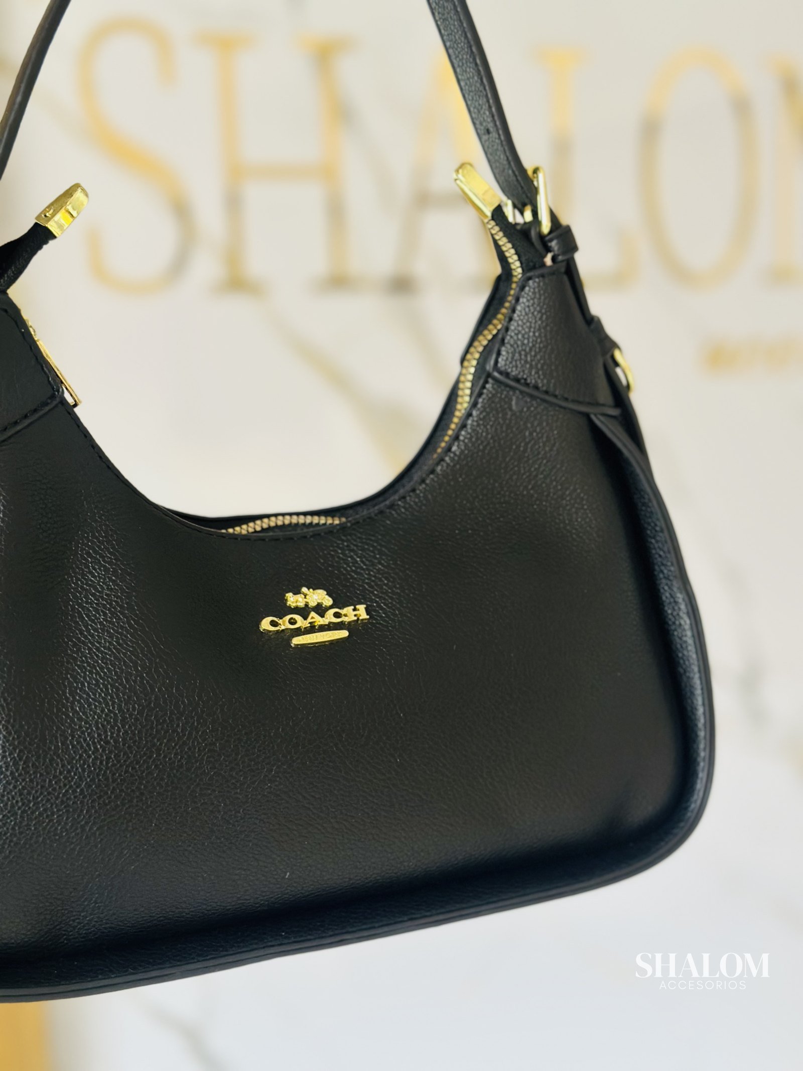 Cartera Coach (C4)