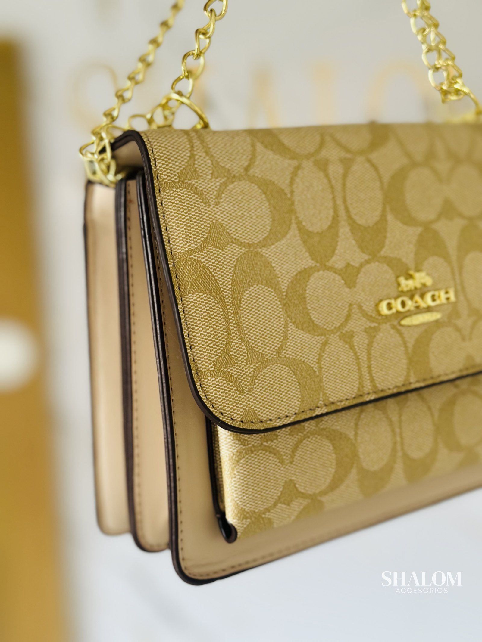Cartera Coach (C5)