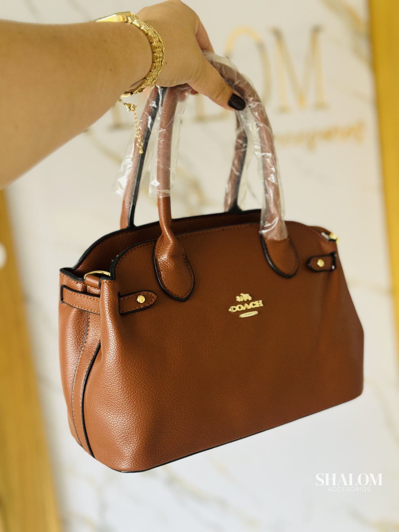Cartera Coach (C6)