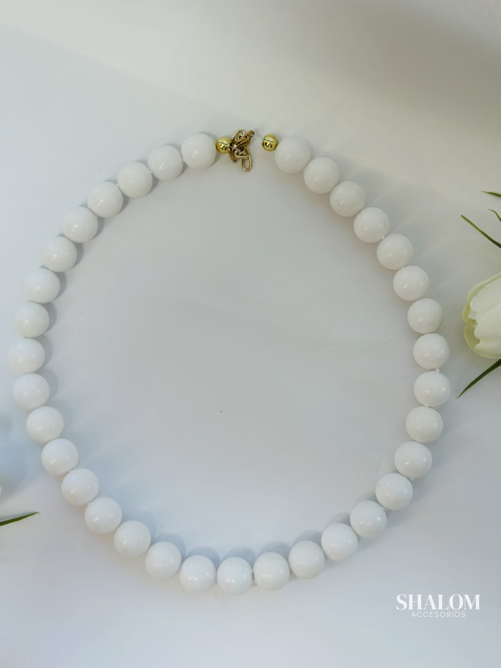 Collar Chicle (chi1)