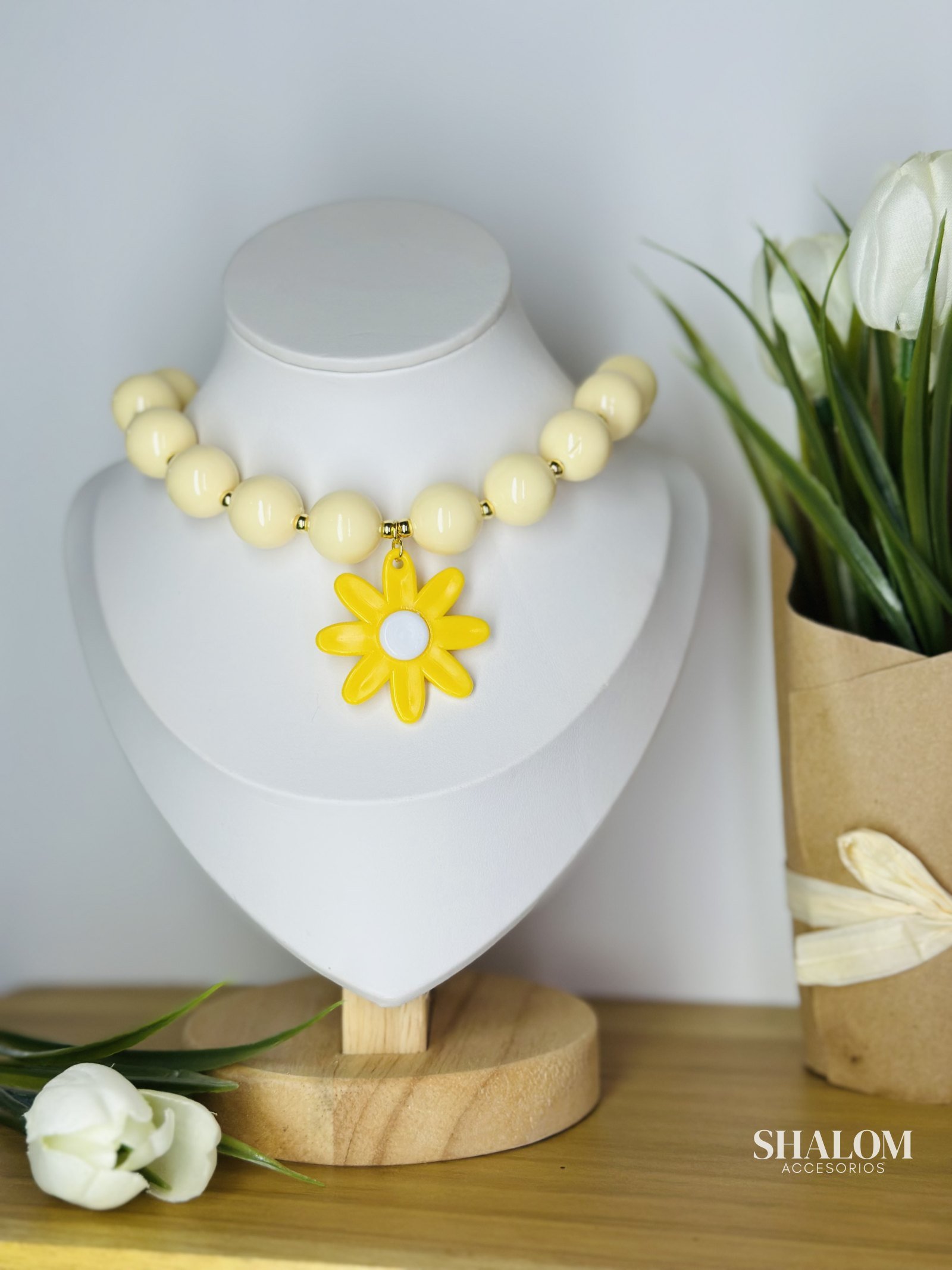 Collar Chicle (chi20)
